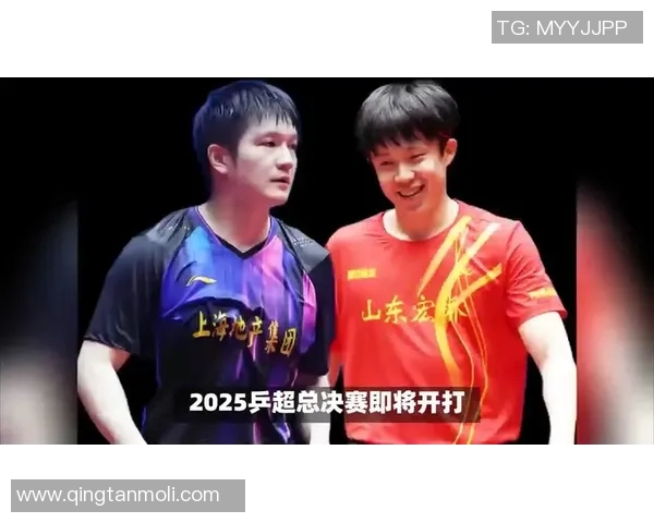 南京乒乓球队的力量与荣耀：探索乒乓球运动的精神与发展之路